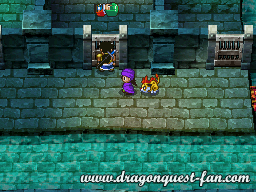 Dragon Quest V Solution 3 1