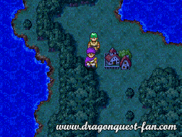 Dragon Quest V Solution 4 3