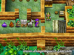 Dragon Quest V Solution 6 3