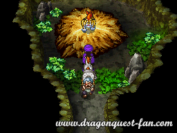 Dragon Quest V Solution 7 4