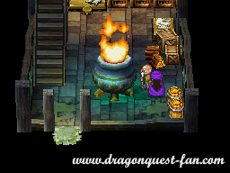 Dragon Quest V Solution 7 6