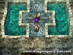 Dragon Quest V Solution 9 5