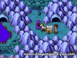 Dragon Quest V Solution 9 6