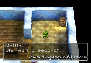 Dragon Quest VII Solution 1