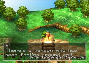 Dragon Quest VII Solution 1