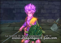 Dragon Quest Tension Héros