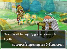 Dragon Quest IX Solution 9