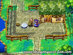 Dragon Quest IV Solution 3 1