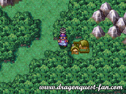 Dragon Quest IV Solution 3 7