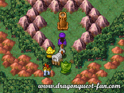 Dragon Quest V Solution 10 2