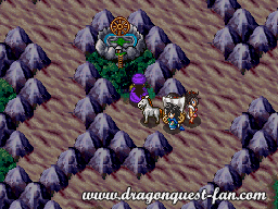 Dragon Quest V Solution 13 5