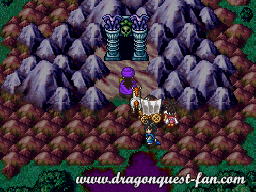 Dragon Quest V Solution 13 6