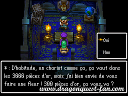 Dragon Quest V Solution 4 4