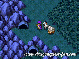 Dragon Quest V Solution 8 1