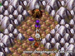 Dragon Quest V Solution 8 3