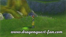 Dragon Quest Solution Château Felix Image 3