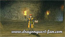 Dragon Quest Solution Chapitre 1 Image 5