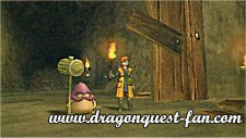 Dragon Quest Solution Chapitre 1 Image 6