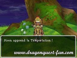 Dragon Quest IX Solution 4