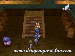 Dragon Quest IX Solution 4