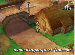 Dragon Quest IX Solution 5