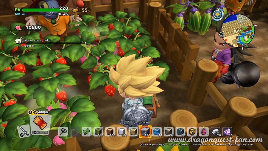 Dragon Quest Builders 2 frais extra